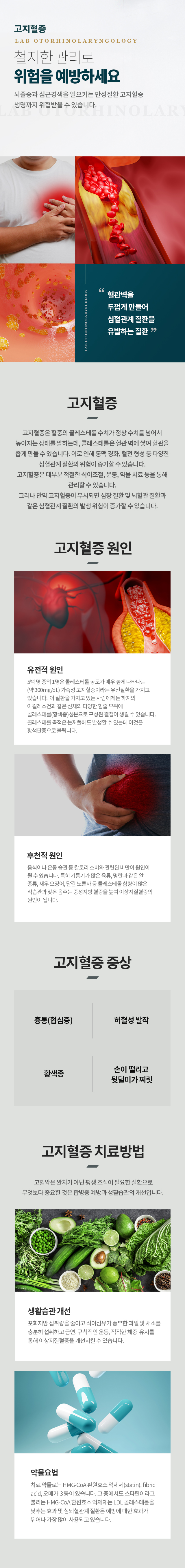 고지혈증